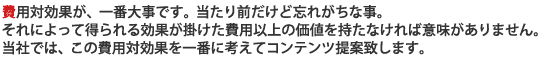 費用対効果が、一番大事です。当たり前だけど忘れがちな事。それによって得られる効果が掛けた費用以上の価値を持たなければ意味がありません。当社では、この費用対効果を一番に考えてコンテンツ提案致します。